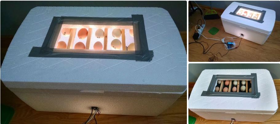 Tự làm máy ấp trứng với Arduino - Cách Dùng